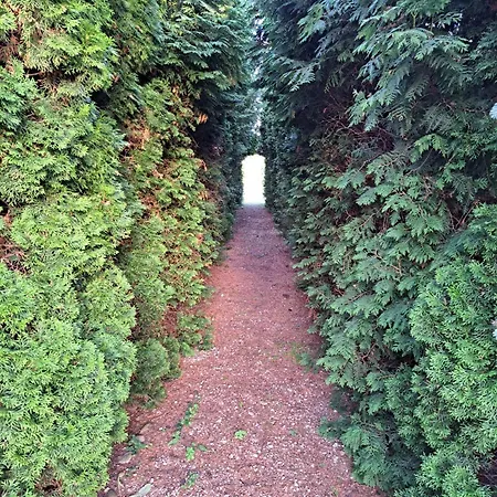 Osada Drzonek * Ludomy