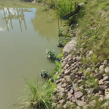 Villa Osada Drzonek *