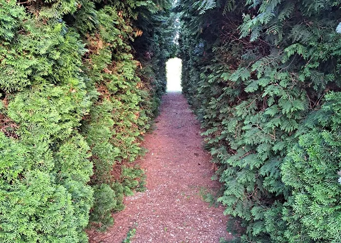 Osada Drzonek * Ludomy