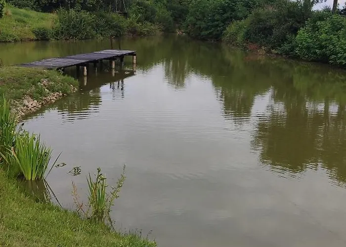 Villa Osada Drzonek *