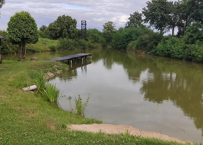 Osada Drzonek Willa *