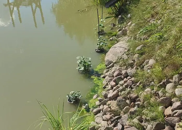 Willa Osada Drzonek *