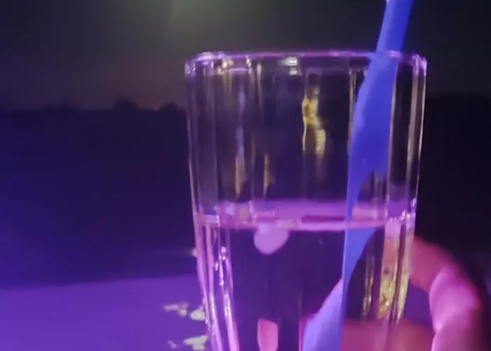 Willa Osada Drzonek *